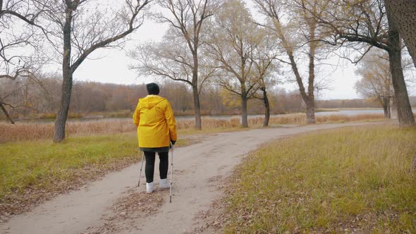 Senior Woman Making Nordic Walking in the Autumn Forest. Nordic Walking Race on Autumn Trail