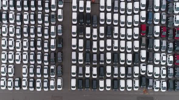 Rows of on cars parked in car parking auction lot