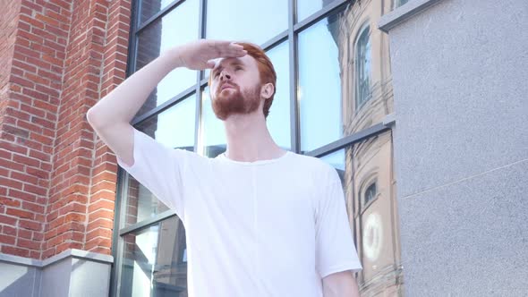 Young Man Looking for Something, Searching Office, Waiting