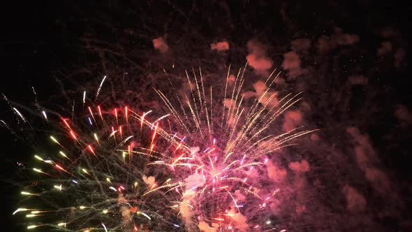 Fireworks in the Sky on Black Background