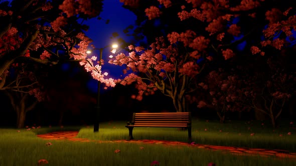 Cherry Blossom In Night Light