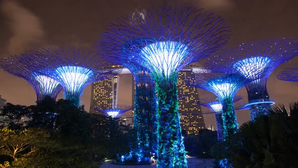 Singapore Supertree Grove Night Clouds Time-lapse