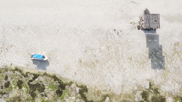 Vertical Video of Low Tide in the Ocean Near the Coast of Zanzibar Tanzania Aerial View