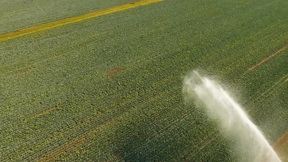 Irrigation System on Agricultural Land