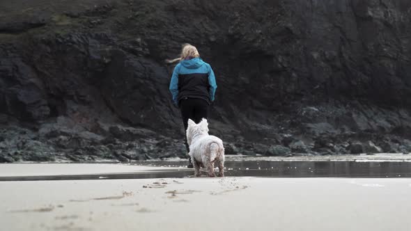 A White Terrier Dog Following Its Owner While Enjoying The Morning Coastal Walk - Medium Shot