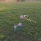 The Mother and Boy Run with a Kite on a Green Field - VideoHive Item for Sale