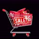 Supermarket Sale Cart - VideoHive Item for Sale