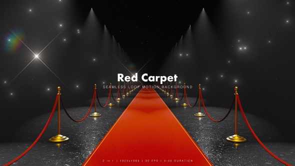 Red Carpet Night 7