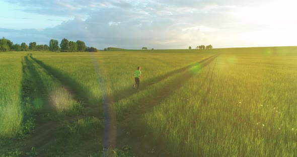 Sporty Child Runs Through a Green Wheat Field