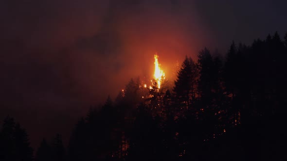 Forest Fire Near Portland Oregon