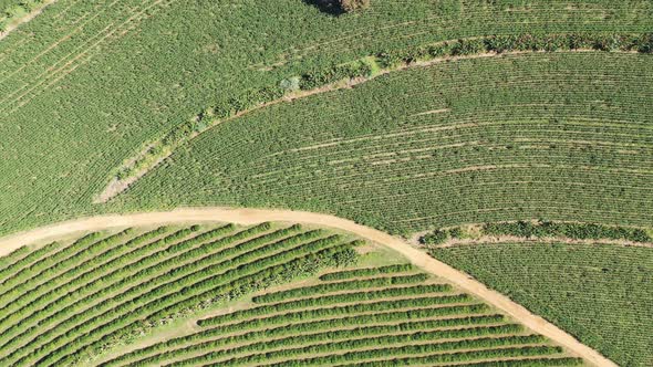 Rural landscape aerial view. Nature scenery