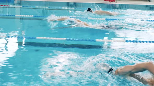 Close Up Shot of a Swimming Competition