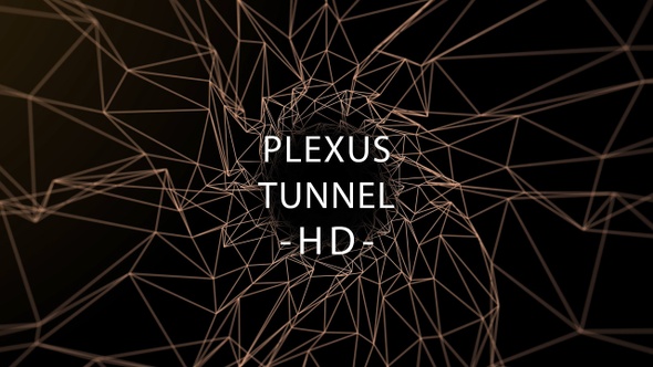 Plexus Tunnel