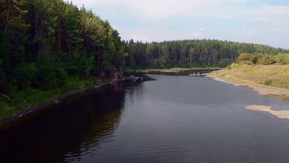 The Drone Flies Low Over the Water of a Mountain River Tall Pines and Conifers Grow on the Banks the