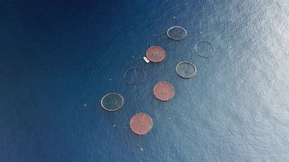 Circular Equipment for Fishery As Seen From Above