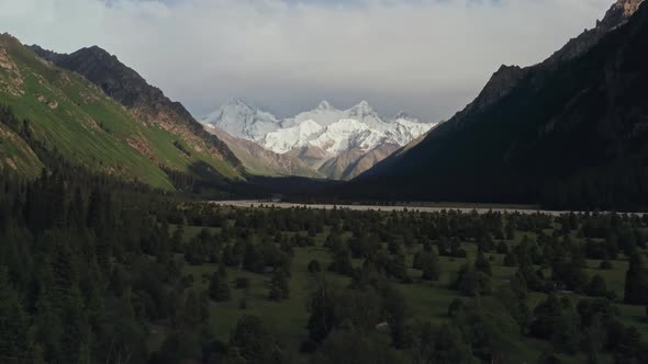 Mountains and trees