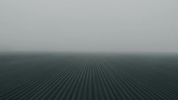 Flight Over Agricultural Arable Land Fields in Fog