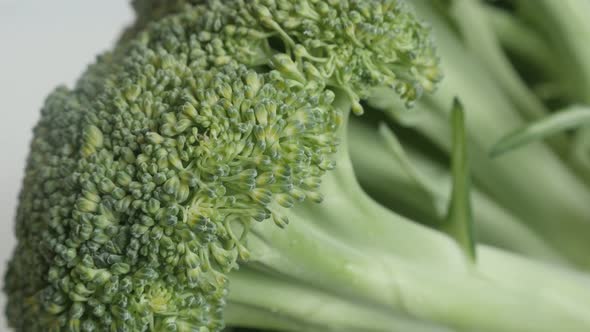 Details of Brassica oleracea broccoli floret 4K tilting  footage