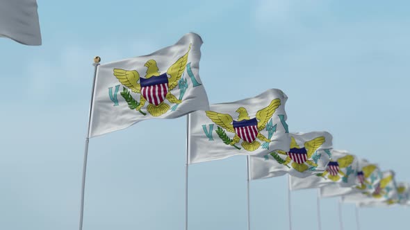 Virgin Islands Us Row Of Flags 
