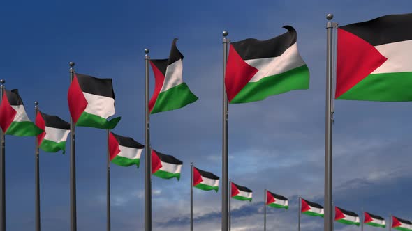 The Palestine Flags Waving In The Wind  4K