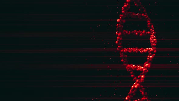 Red DNA Molecule Model