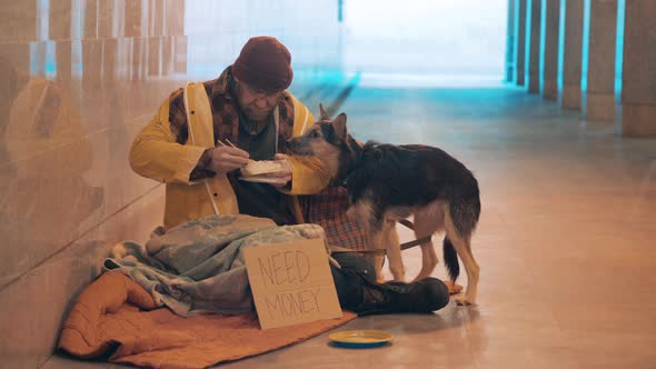 A Dog is Asking a Beggar for Food