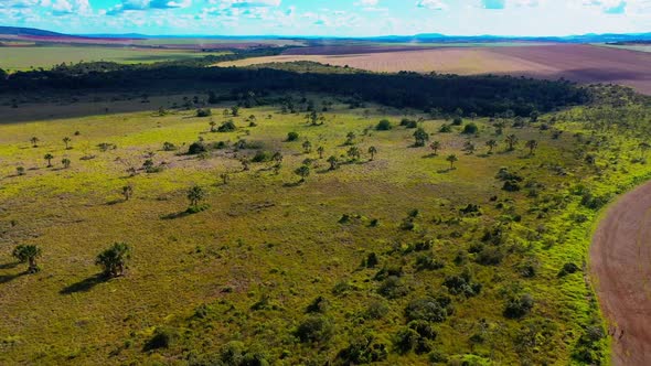 Plowed fields and deforested land in the Brazilian savannah resulting in drought and global warming