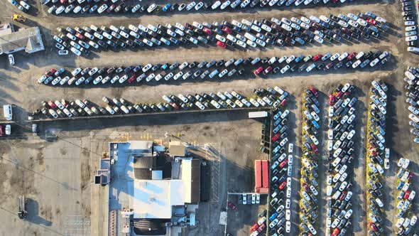 Many Cars Parked Distributed in Used Car Auction Lot