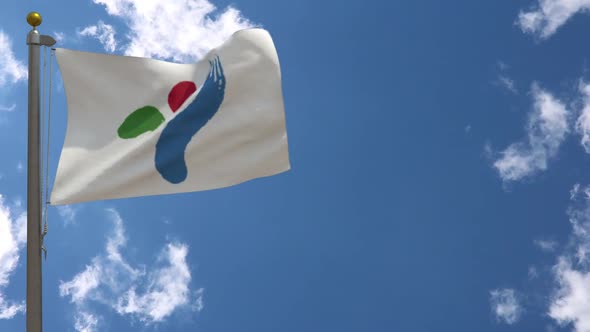 Seoul City Flag (South Korea) On Flagpole