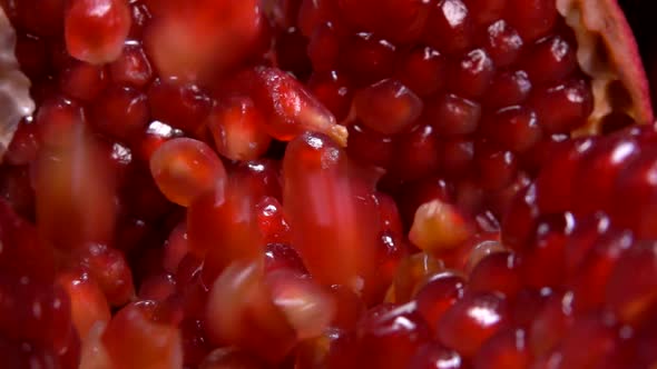 Super Close Up of Fresh Red Grains of Pomegranate Falling in Slow Motion