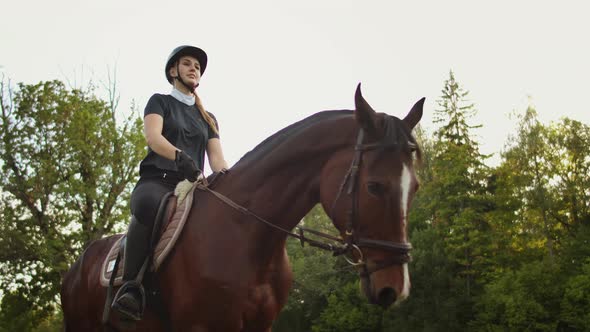 Professional Equitation in Nature in the Horse Club