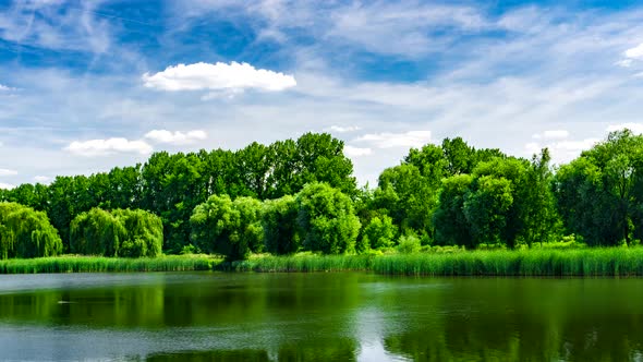 Green Urban Park