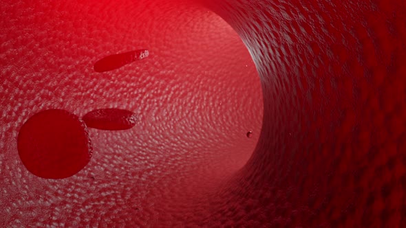Blood Cells Motion Background