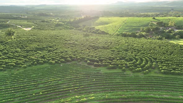 Sunset at farming landscape at countryside rural scenery.