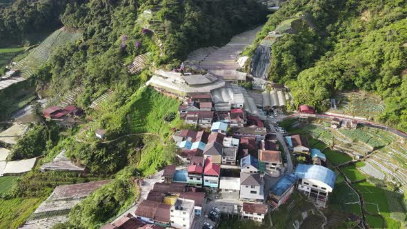 Cameron Highlands, Pahang Malaysia