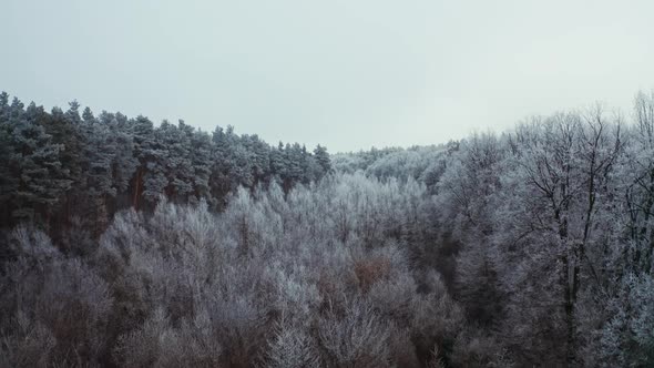 Winter landscape in the forest. Aerial view of winter snow covered forest