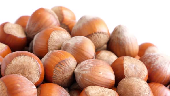 Hazelnut Abstract Background