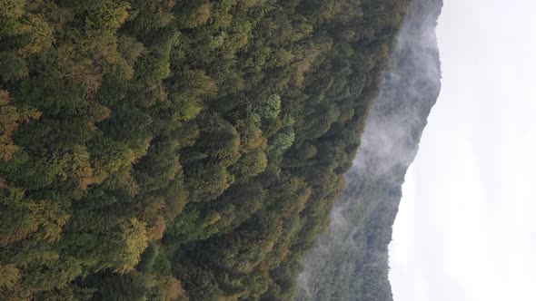 Vertical Video Carpathian Mountains