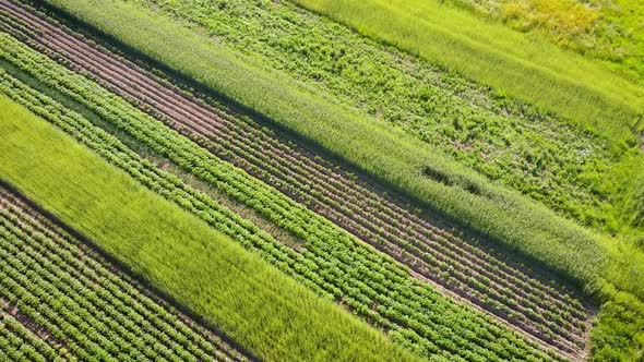 Plots Of Land Countryside