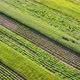 Plots Of Land Countryside - VideoHive Item for Sale