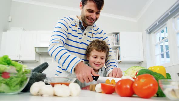 Father teaching his son to chop vegetables