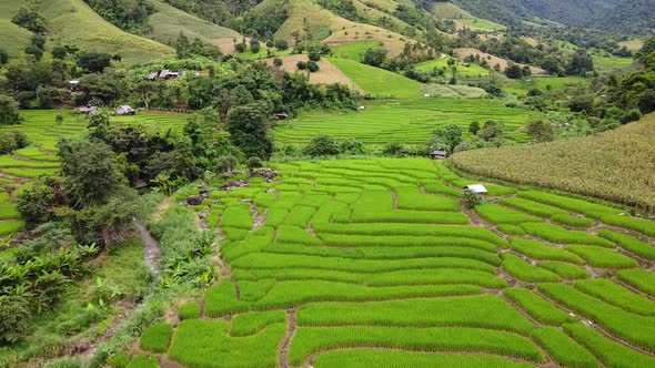 Aerial view of rice terraces field in northern of Thailand by drone