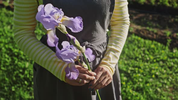 Gardener Woman in a Working Apron Holds in Her Hands a Twig of Iris Flower. Beautiful Scene in the