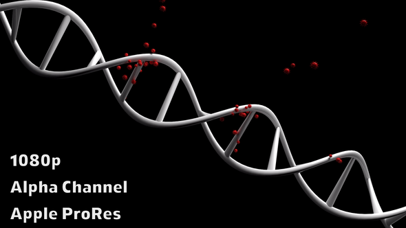 Virus Attack to Dna