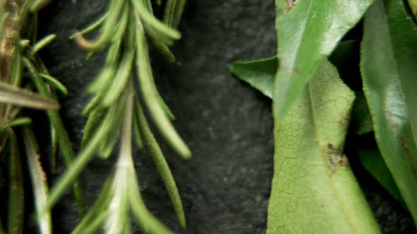 Rosemary, curry leaf and garlic chives on black background 4k