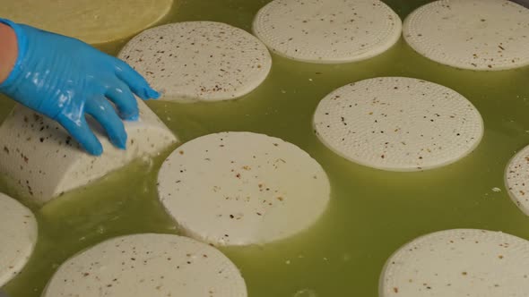 Cheese Ripening in Brine Parmigiano Reggiano in Salt Water