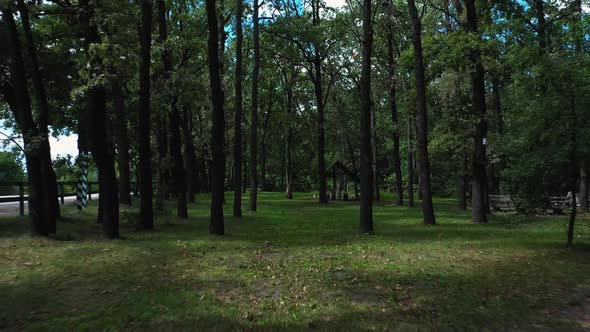 Rest and Snack Area with Wooden Picnic Tables and a Gazebo for Travelers in the Forest