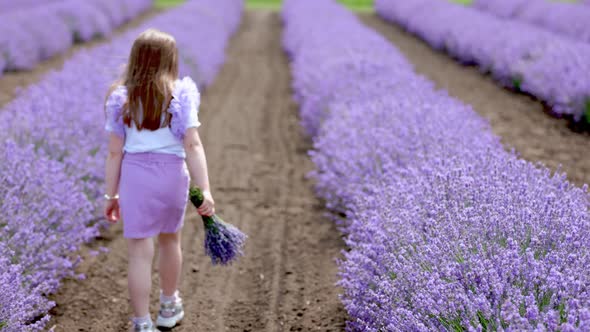 a Girl Walking in a Lavender Field