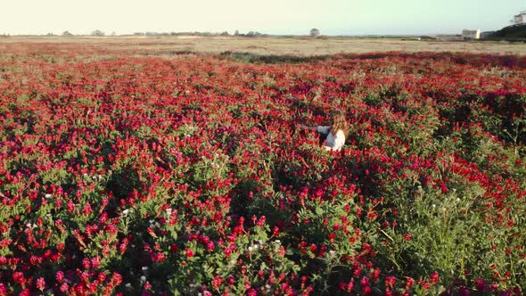 Aerial of Red Flowers and dancing