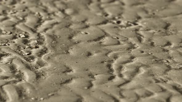 Lines in the Sand of a Beach